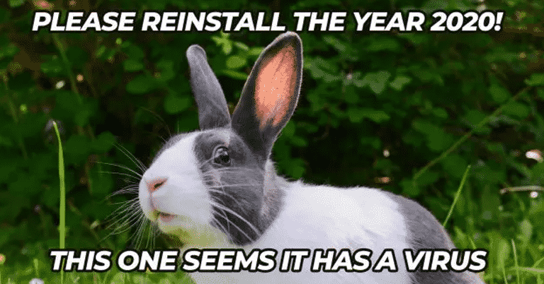 2020: The Year Online Shopping Became a Viral Hit